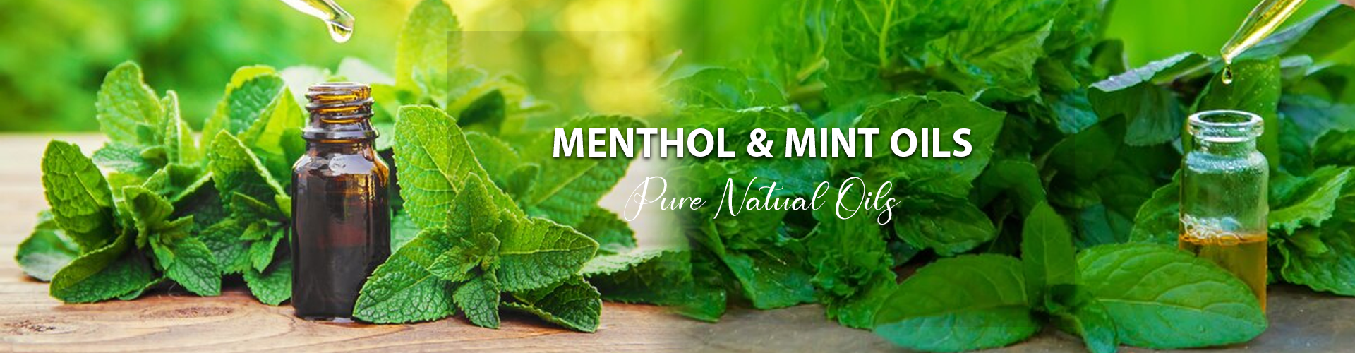 Menthol Oil