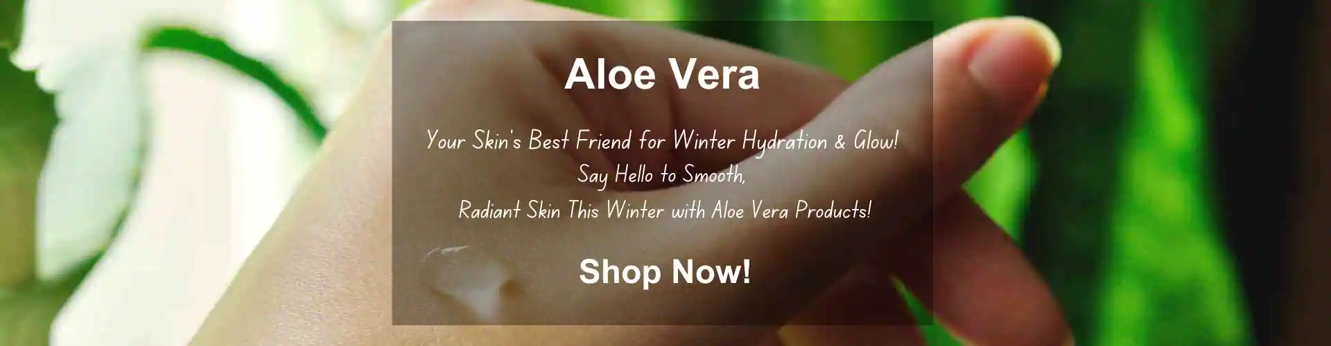 From Dry to Dreamy: Winter Skin Savior with Aloe Vera