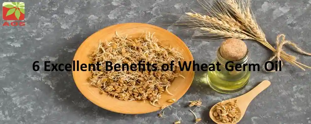 Wheat Germ Oil Benefits