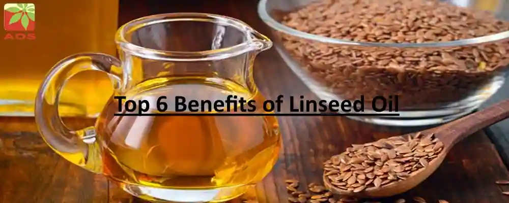 Linseed Oil Benefits