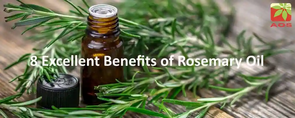 Rosemary Oil Benefits