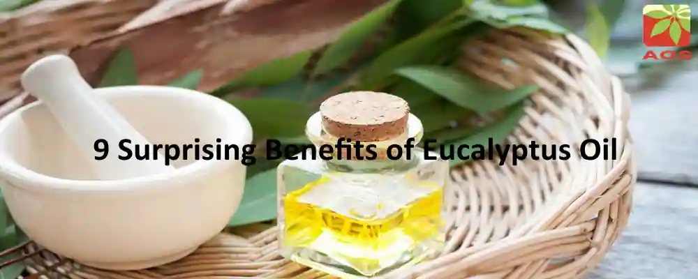 Eucalyptus Oil Benefits