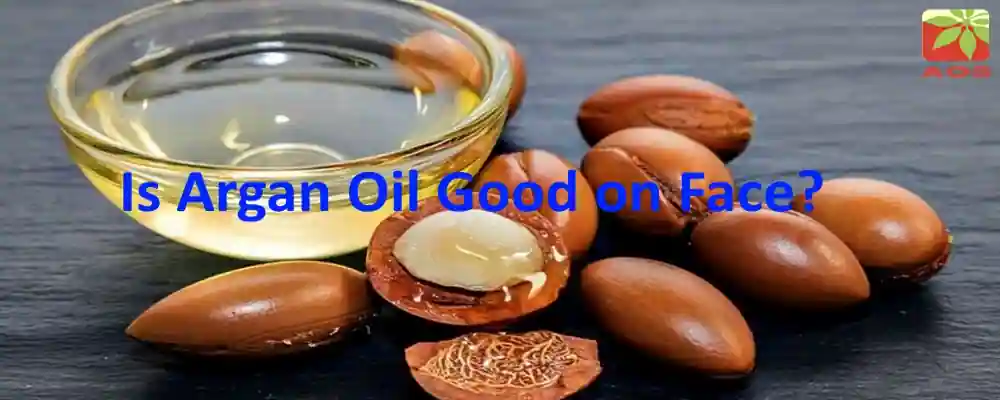 Argan Oil Benefits