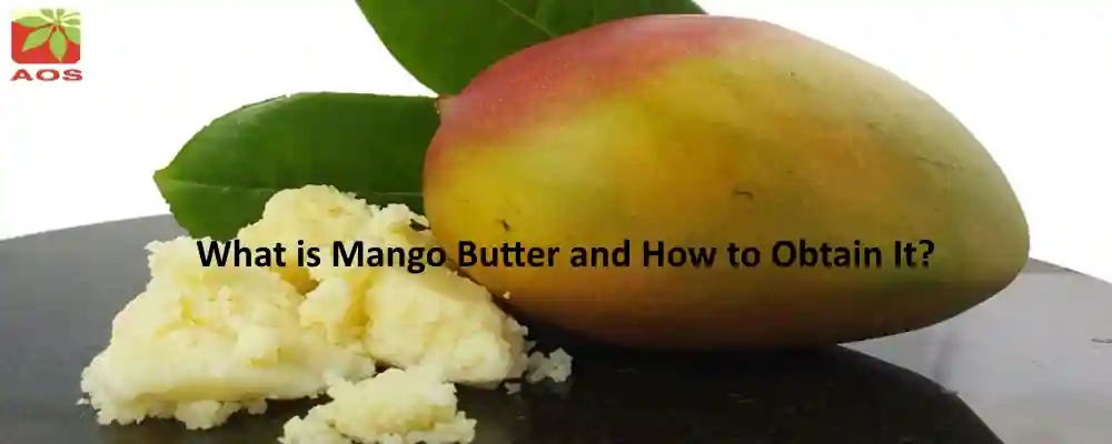 Mango Butter Benefits