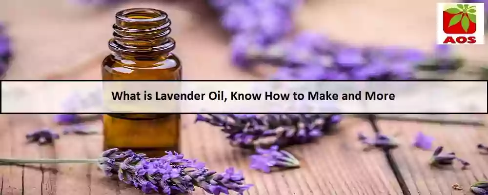 All About Lavender Oil