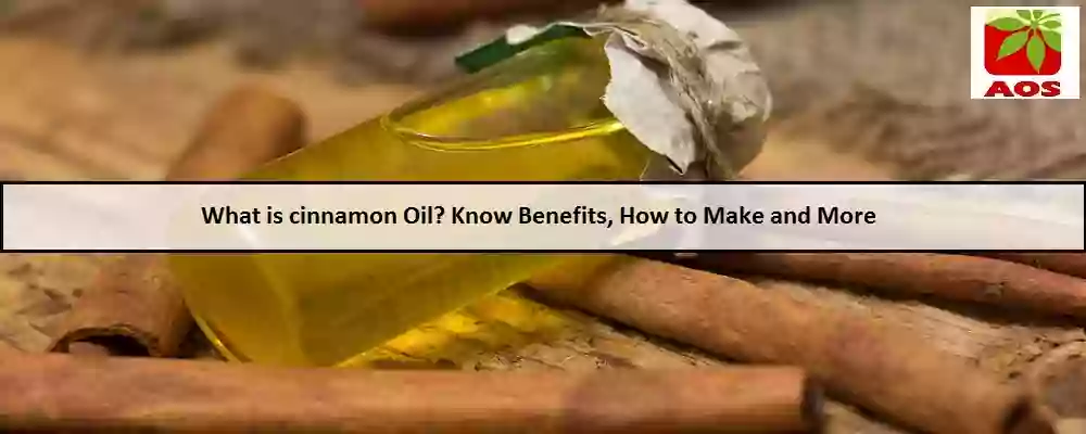 All About Cinnamon Oil