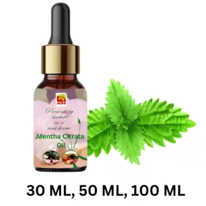 Mentha Citrata Oil